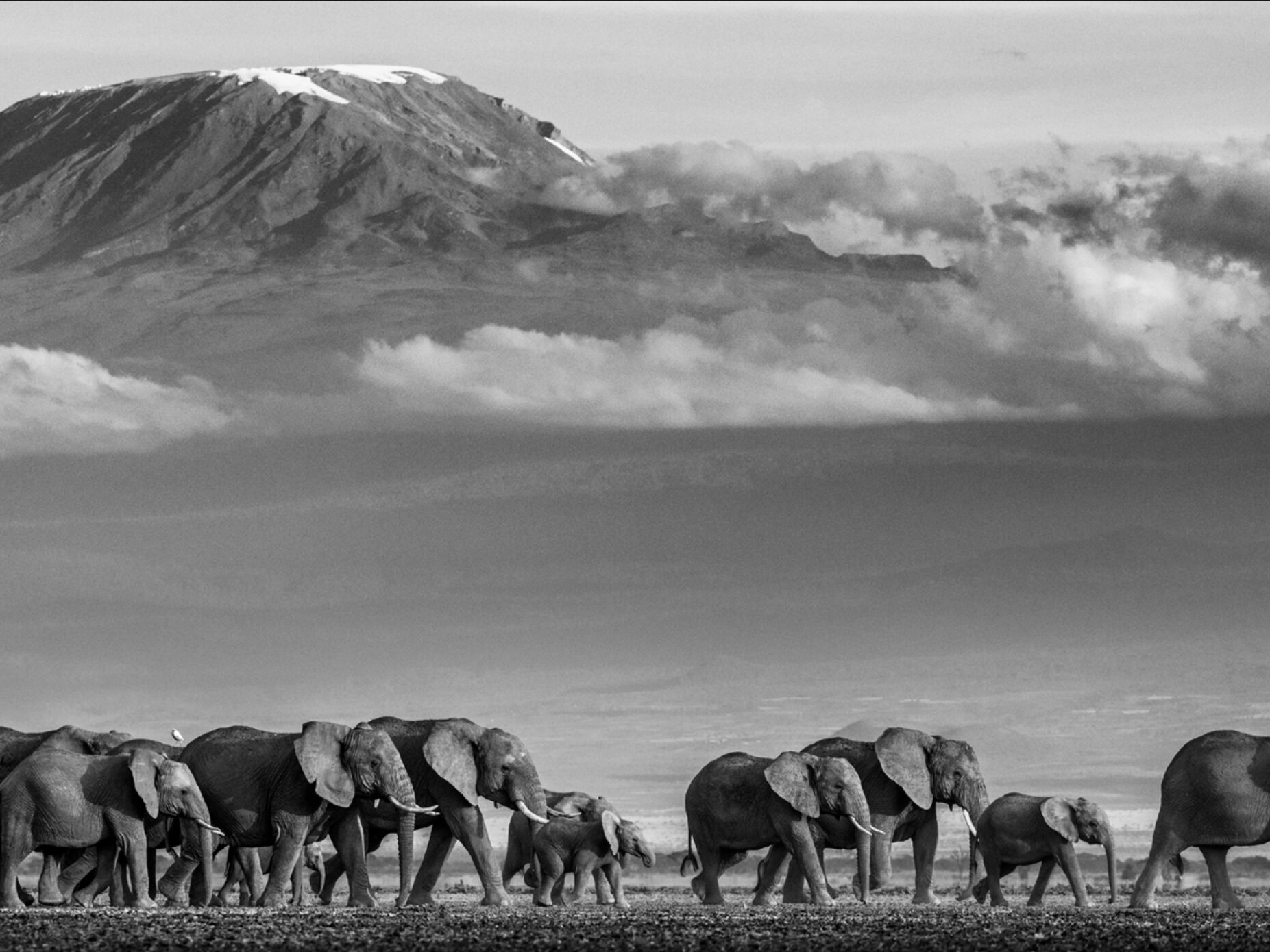 David_Yarrow_Walk_the_Line_II_Hilton_Asmus_Contemporary