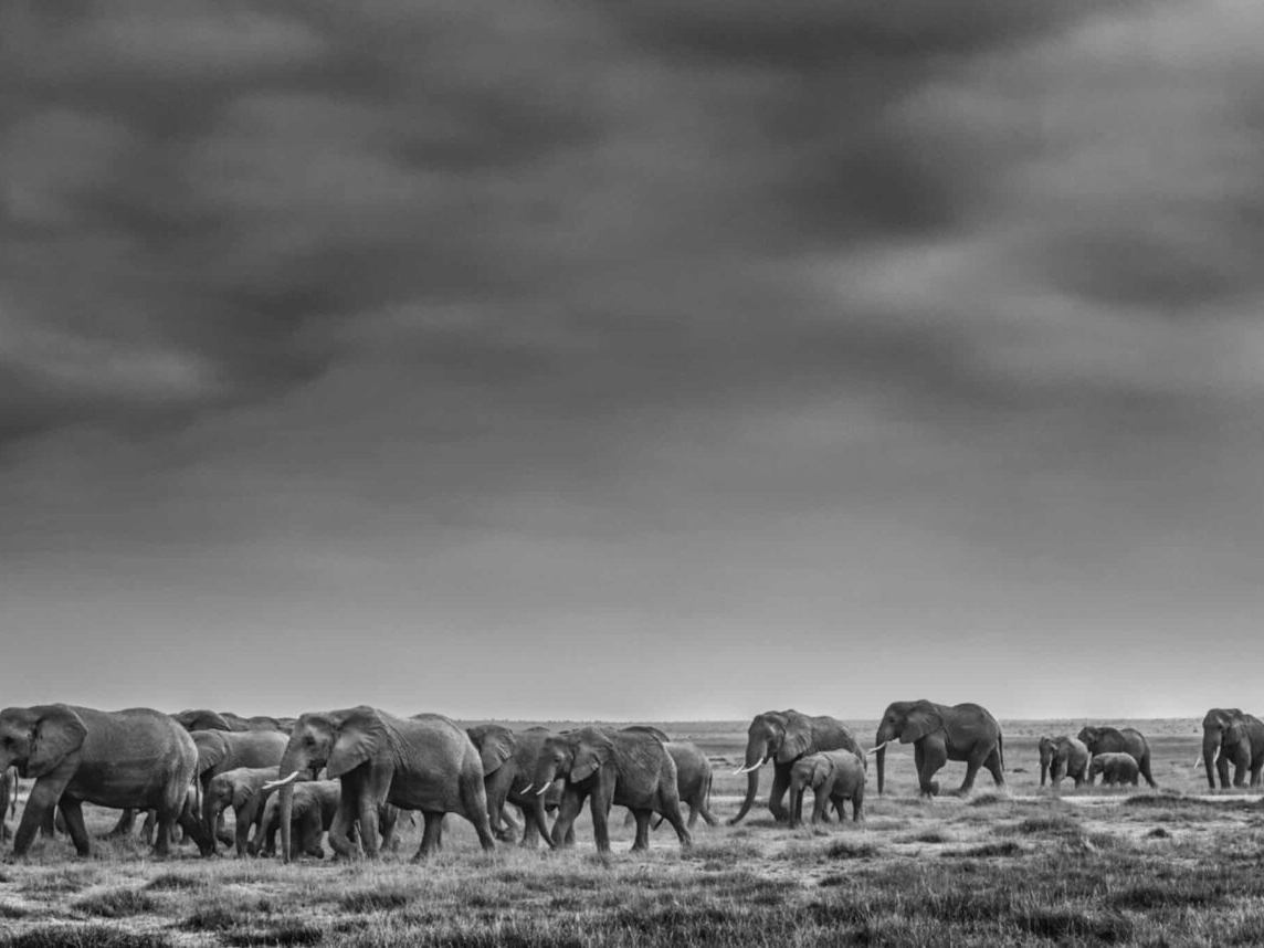 Davis_Yarrow_We_Are_Family_Hilton_Asmus_Contemporary