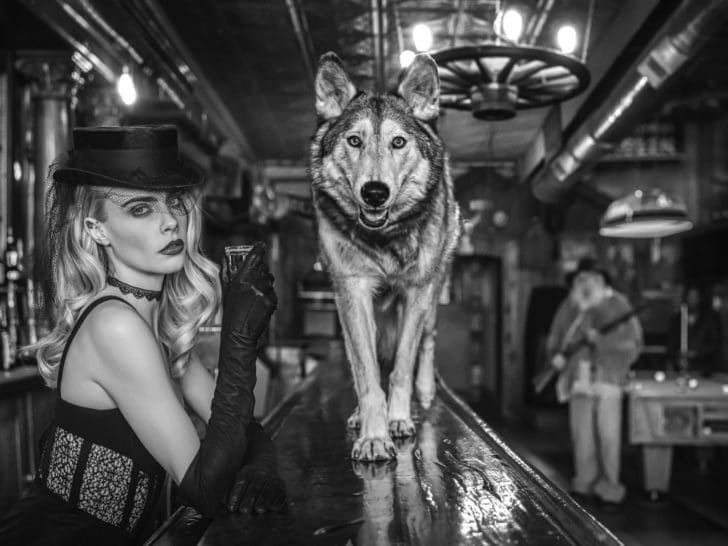 Final-Frontier-scaled-0x546-c-default