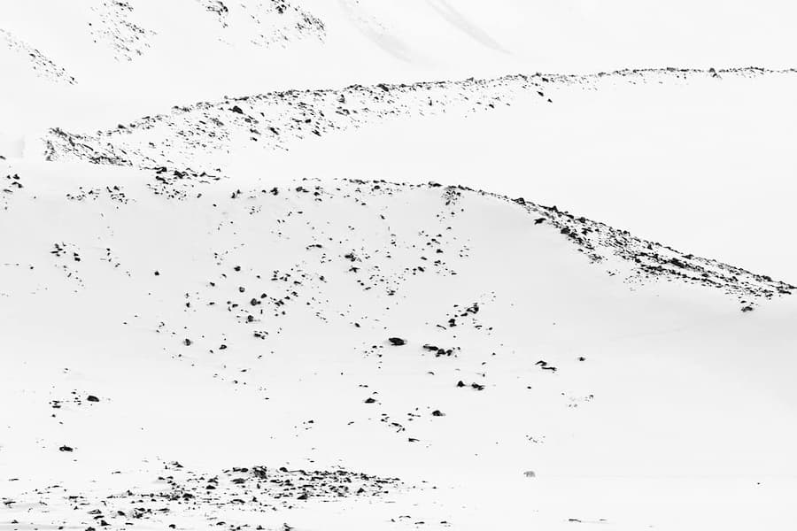 Lost In White