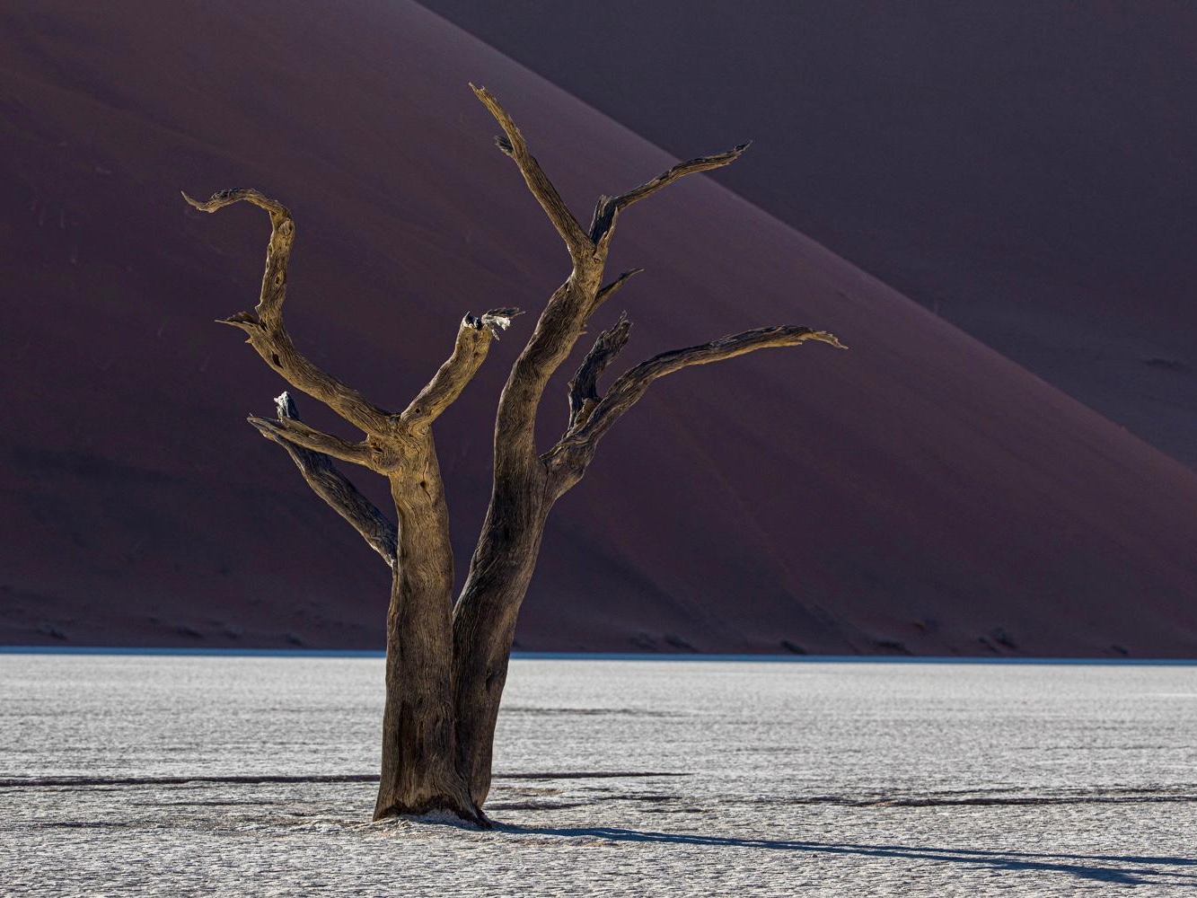 d90a8b53-23d2-4f11-9d4b-938cb5ecd38e