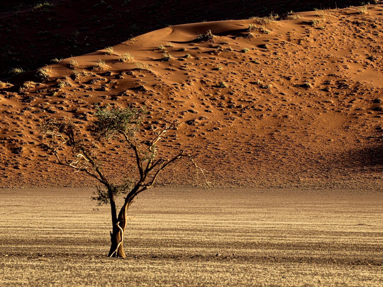 dea0be5b-61d9-45d7-972e-40ac3dacd86f