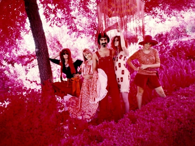 franz zappa and members from girls together only gto 1964