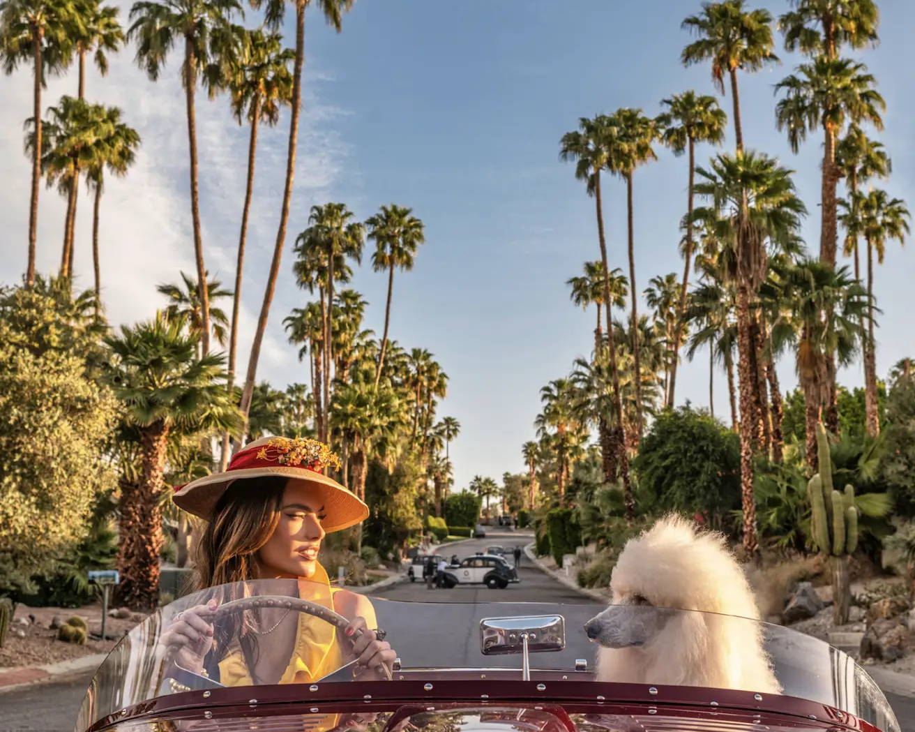 david yarrow - david yarrow