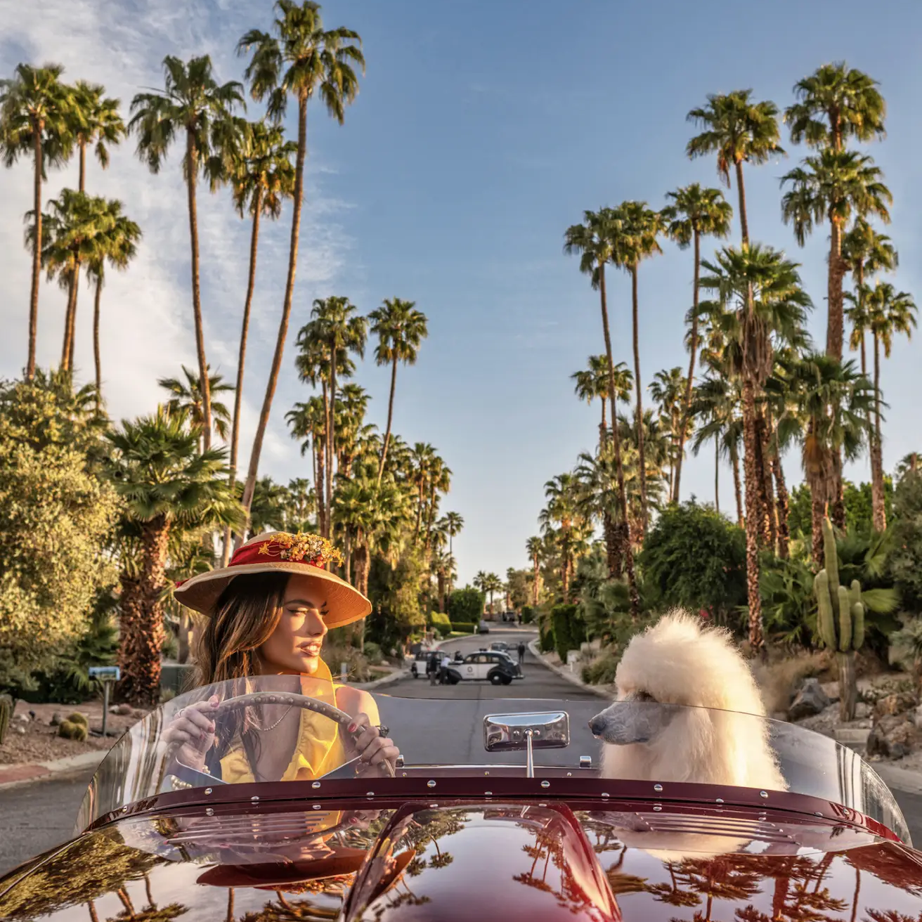 david yarrow - david yarrow