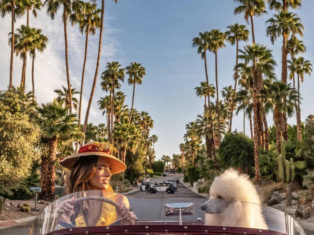 david yarrow - david yarrow