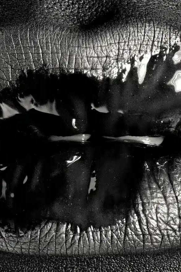 THE LIPS - Hilton Contemporary - Markus Klinko