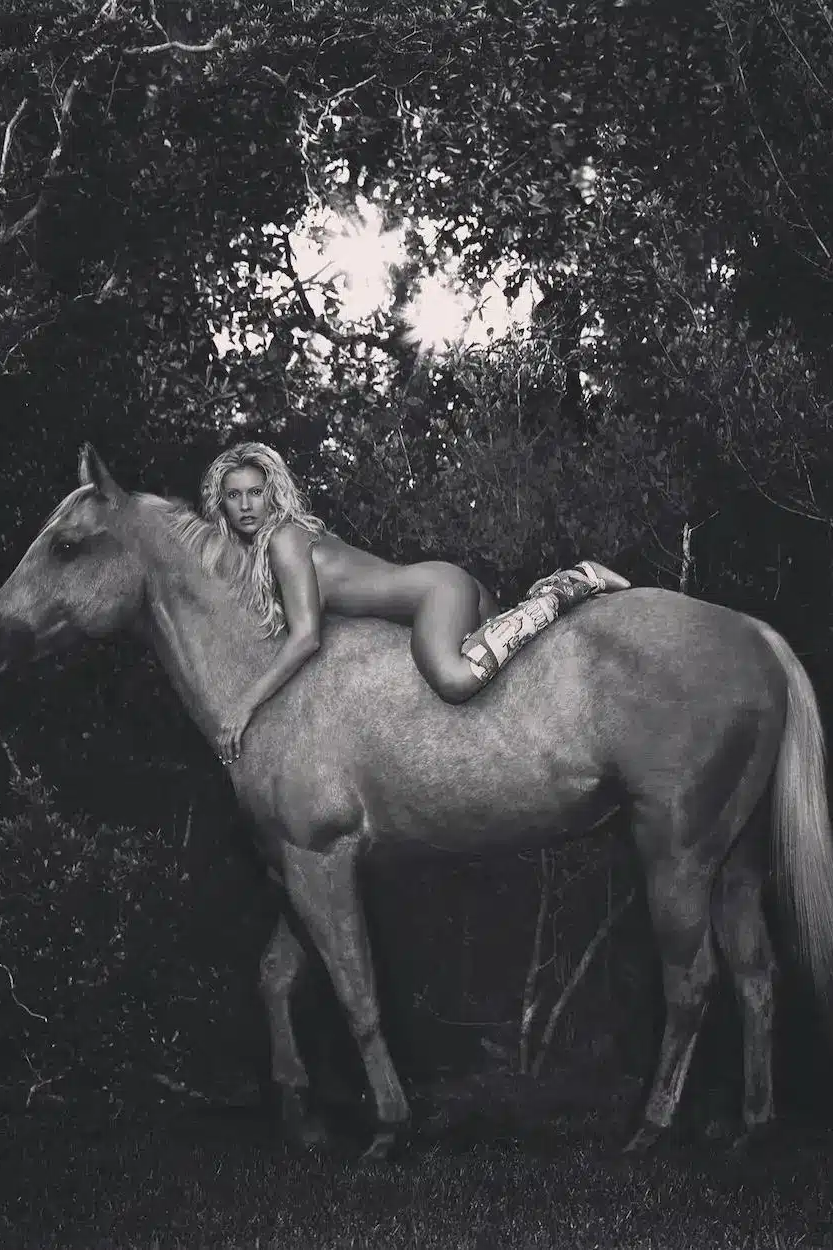 Sable The Horse-KLINKO