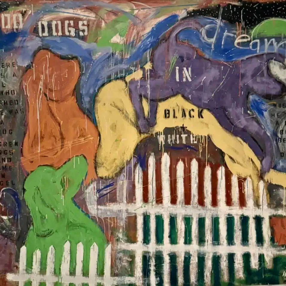 Do Dogs Dream in Black and White