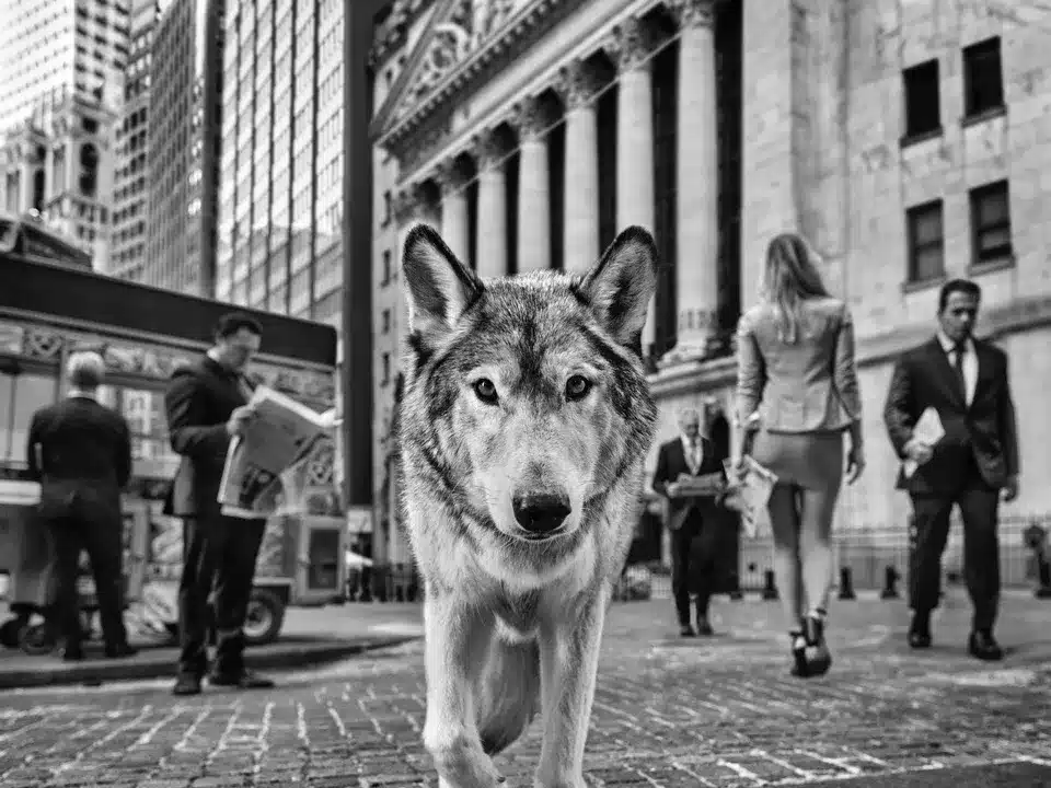 Once Upon a Time on Wall Street