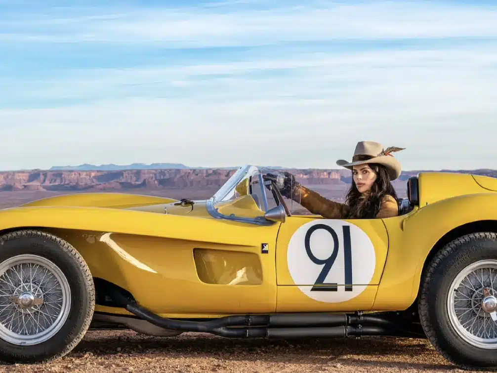 The Girl with the Feathered Hat - Color