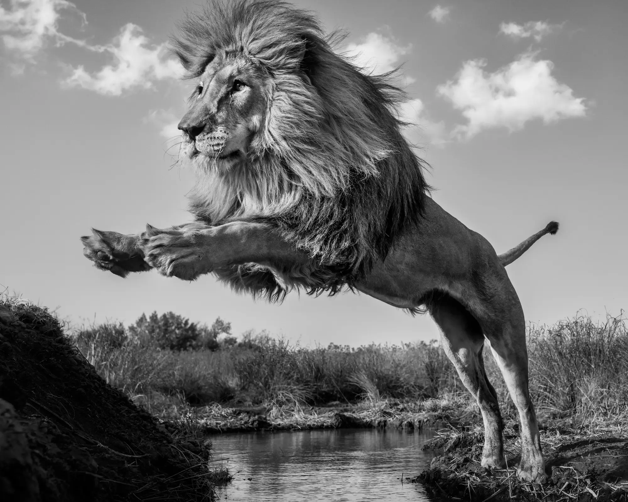 O Captain My Captain