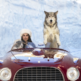 Driving Home For Christmas (Colour)