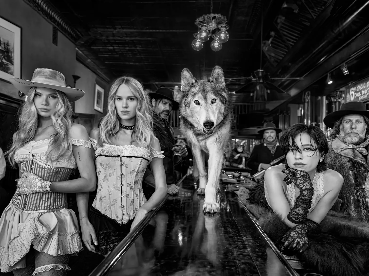 Untamed | David Yarrow