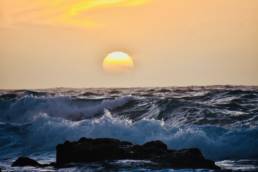 The Sea Also Writes