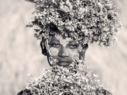 Bloom Keeper-Hilton Contemporary