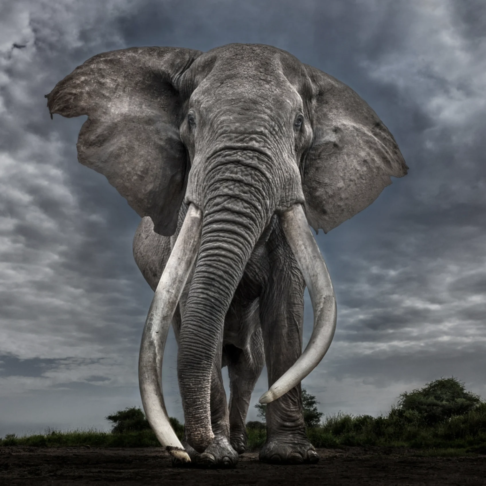 Legend-Hilton Contemporary