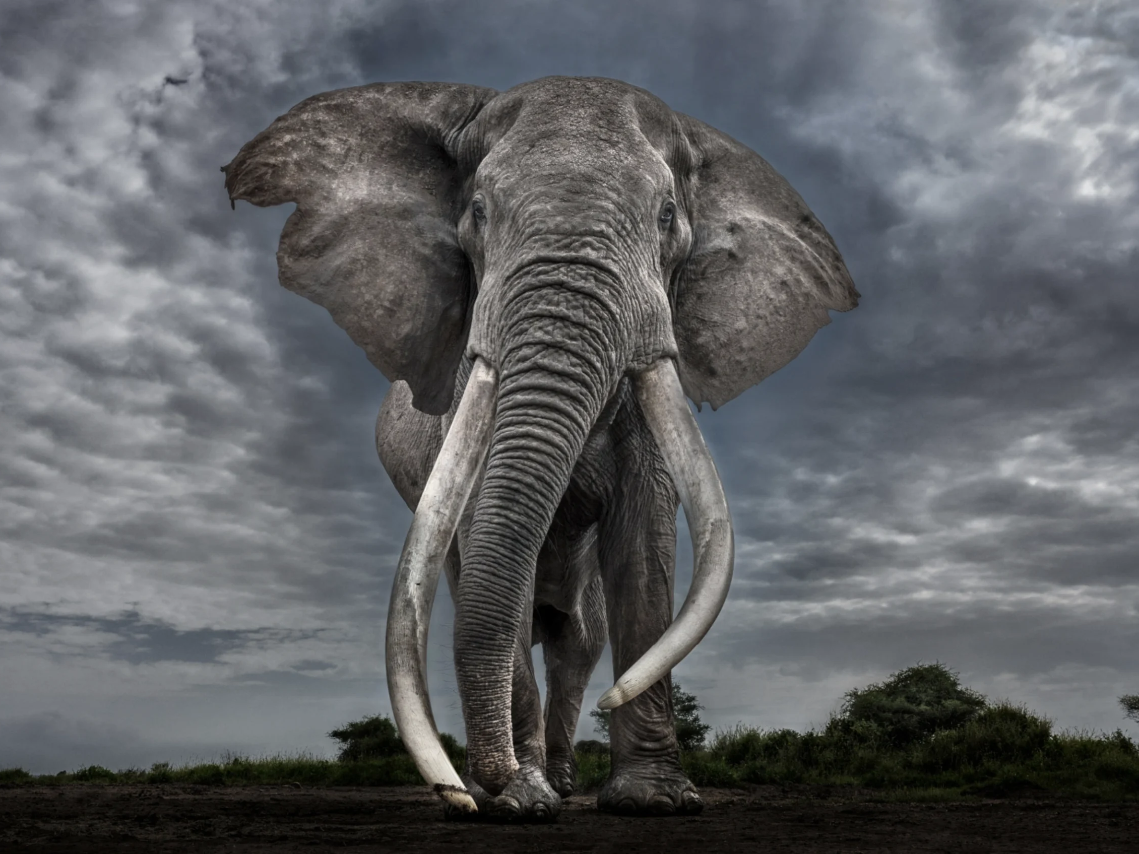 Legend-Hilton Contemporary