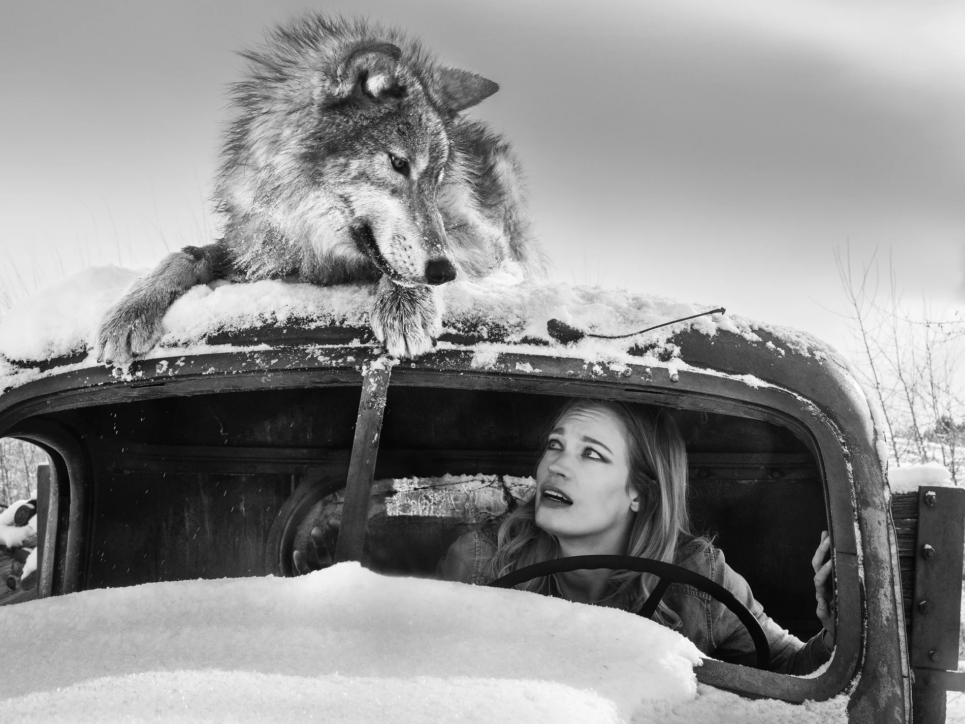 A Street Car Named Desire