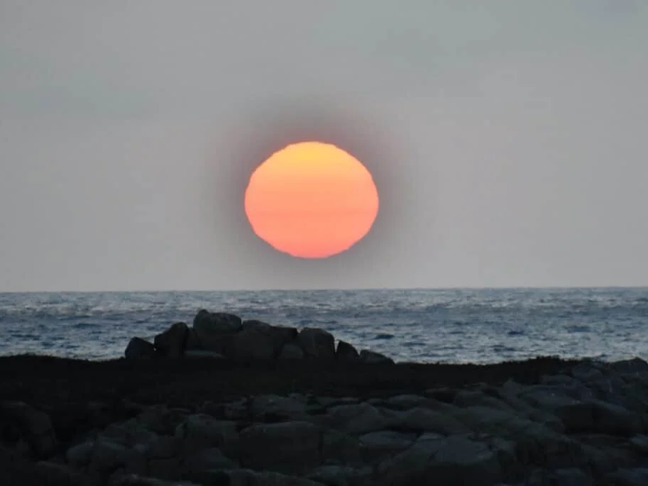 A Window Open to the Ocean
