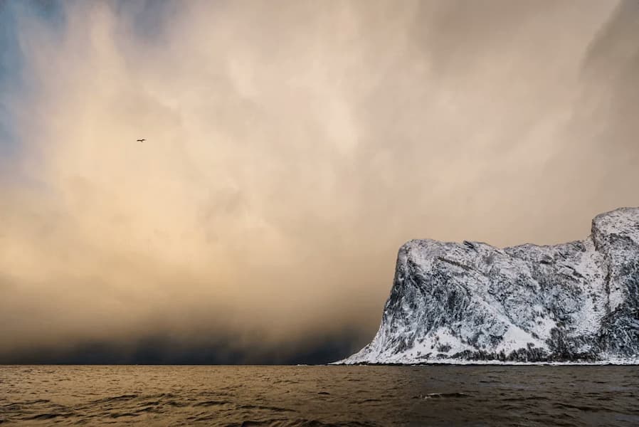 Arctic Fire