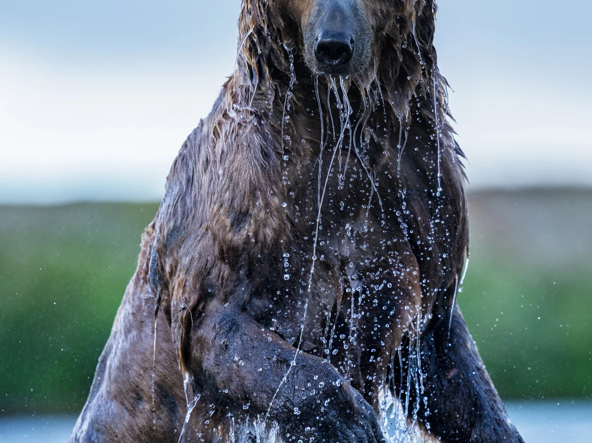 Backcountry (Colour)