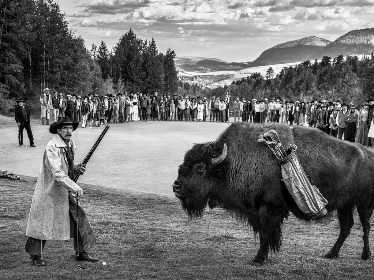 Bison DeChambeau (B&W)