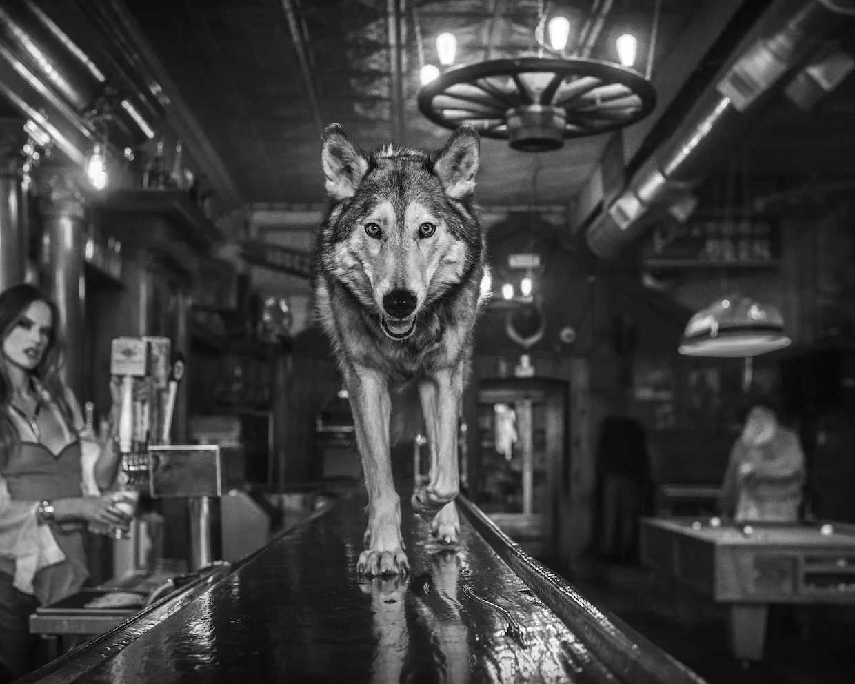 Friday Night at the Pioneer