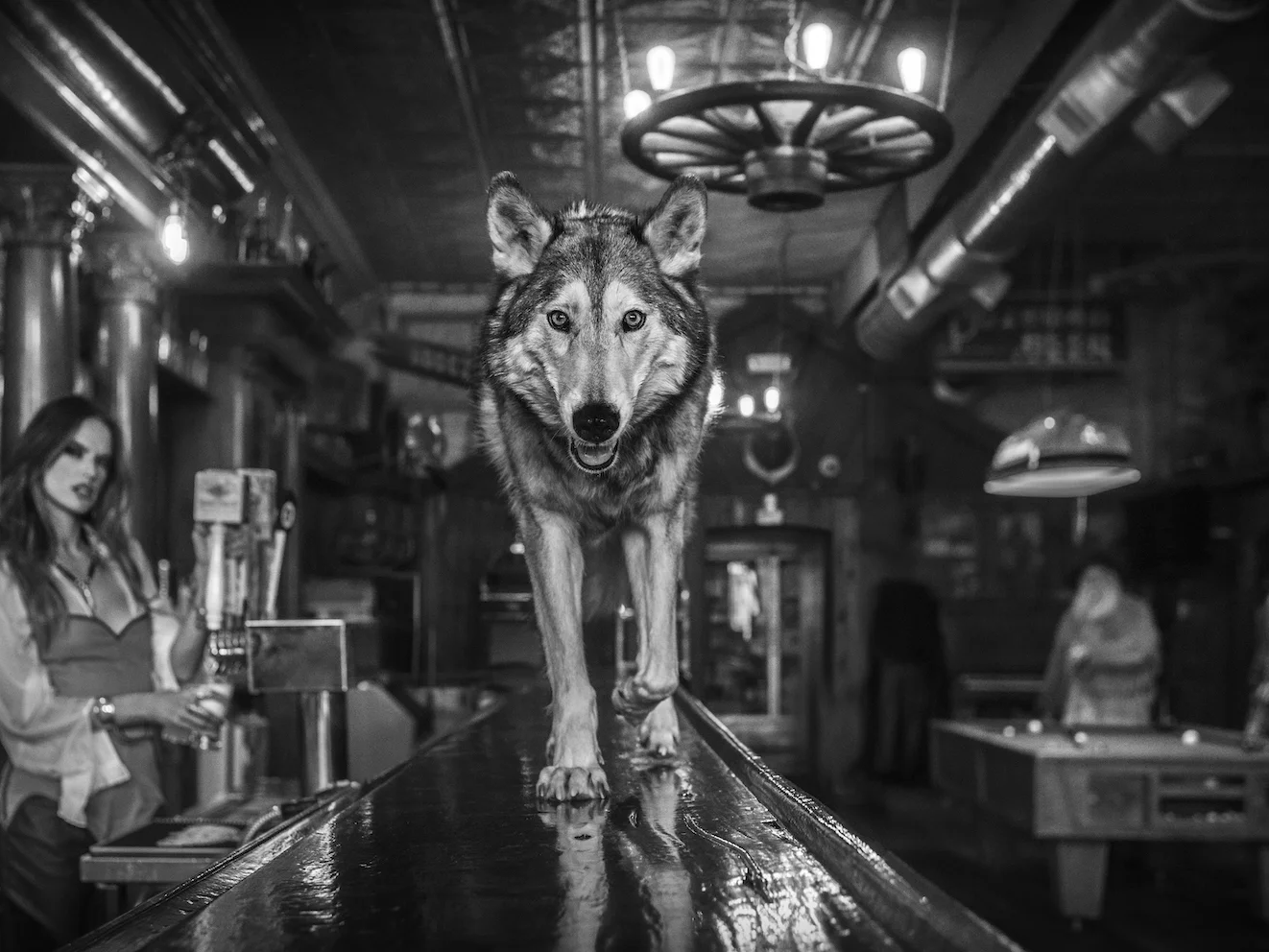 Friday Night at the Pioneer