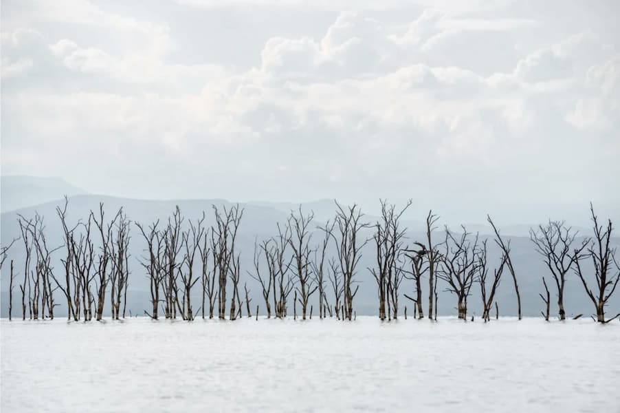 Ghosts of the Lake