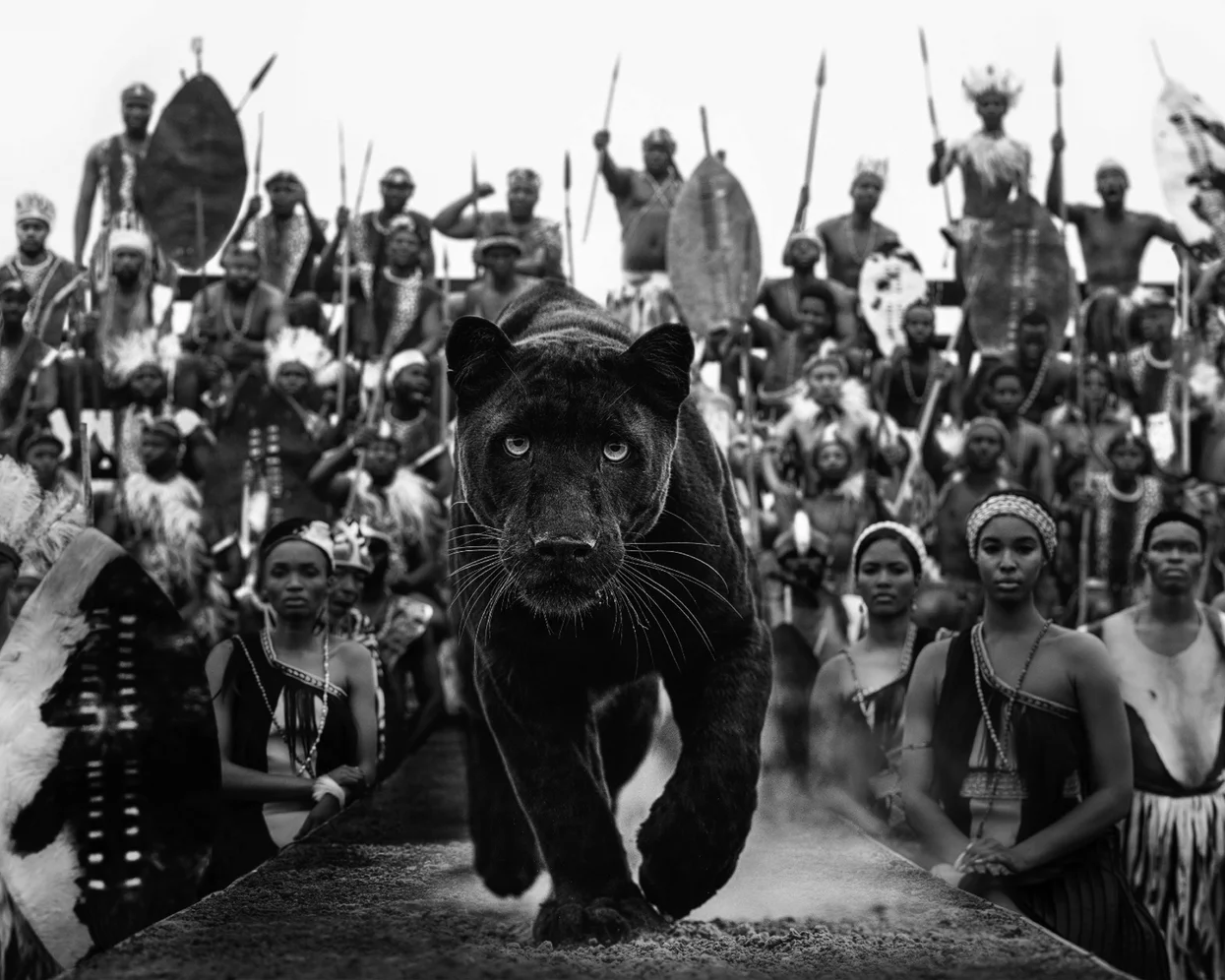 I Am Black Panther