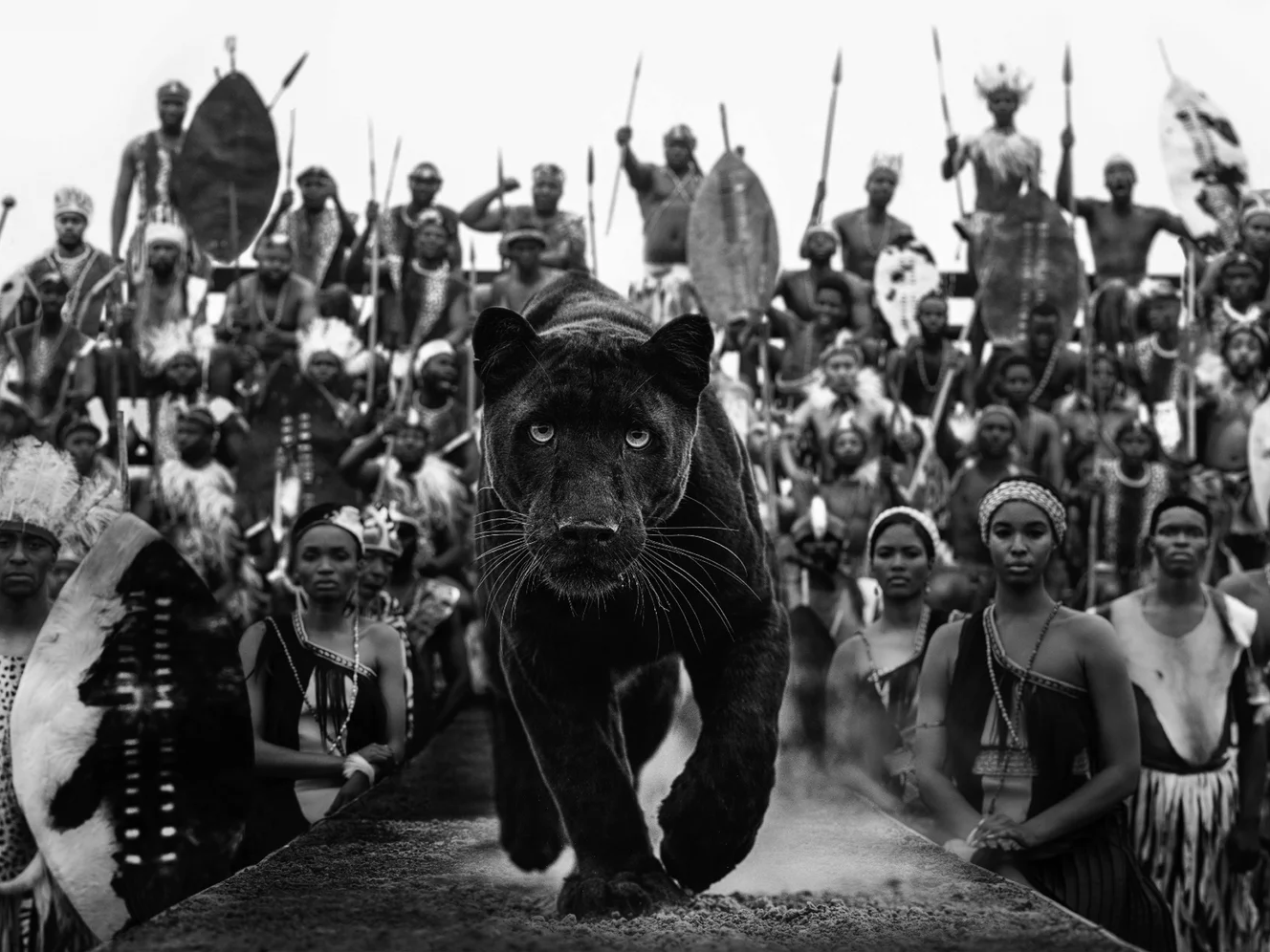 I Am Black Panther