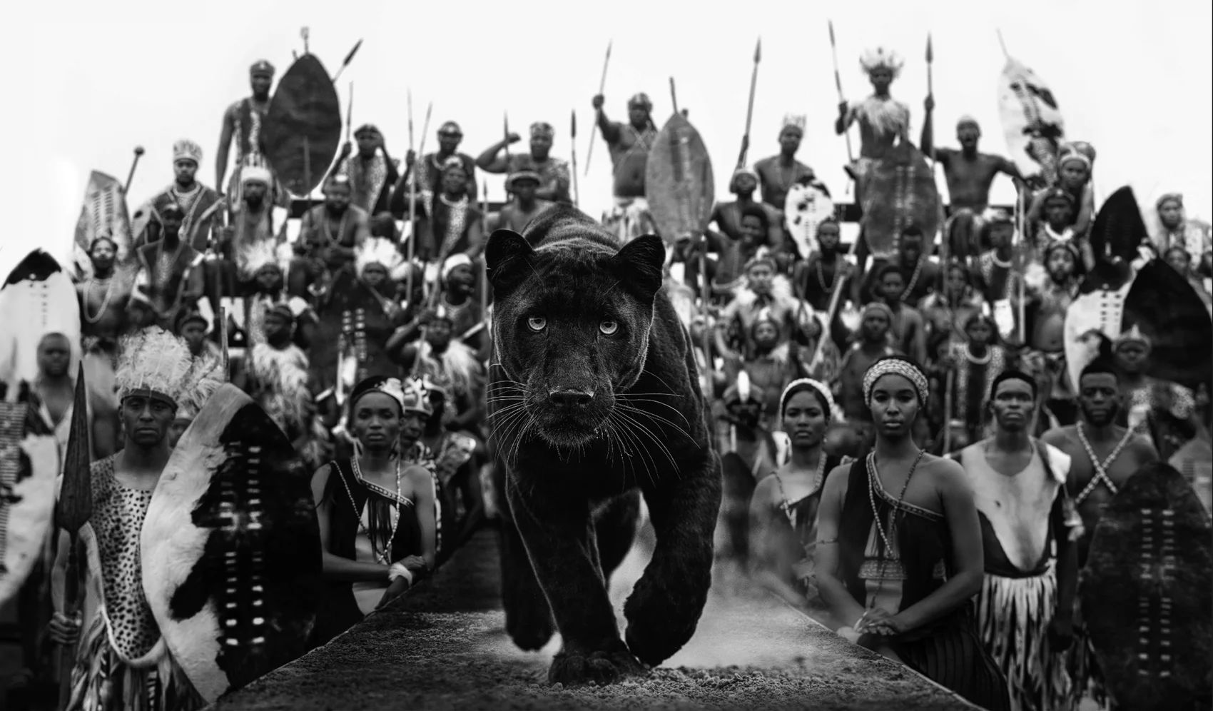 I Am Black Panther