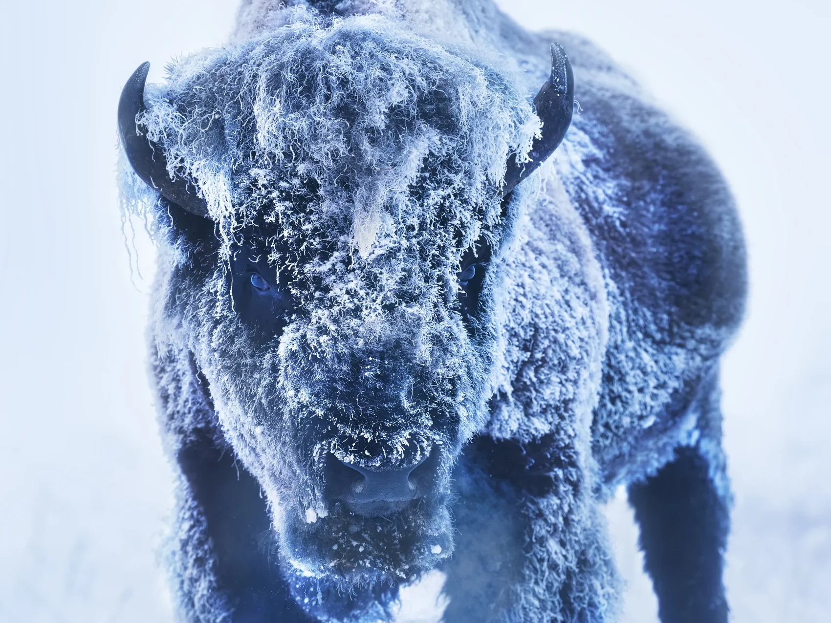 The Ice Monster (Colour)