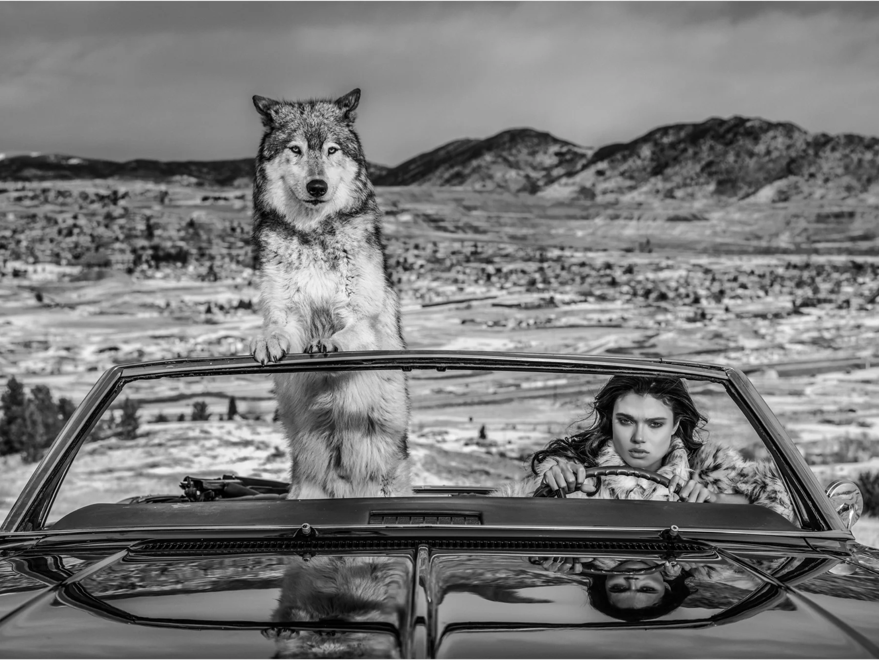 The Richest Hill in the World