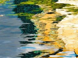 When Water Dreams One | Bahar Kural