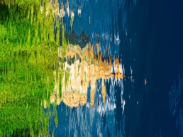 When Water Dreams Two | Bahar Kural | Hilton Contemporary