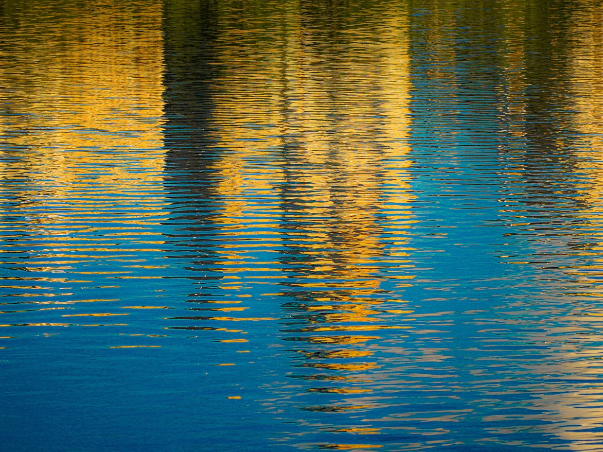 When Water Dreams Four | Bahar Kural