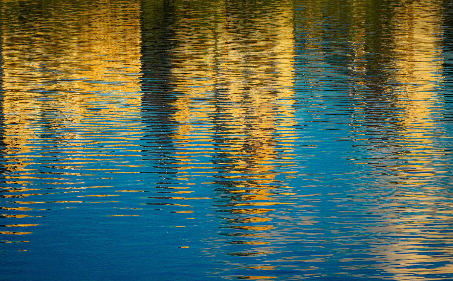 When Water Dreams Four | Bahar Kural