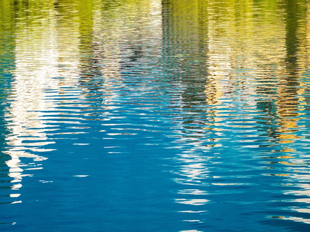 When Water Dreams Six | Bahar Kural | Hilton Contemporary