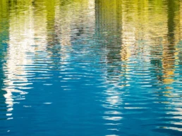 When Water Dreams Six | Bahar Kural | Hilton Contemporary