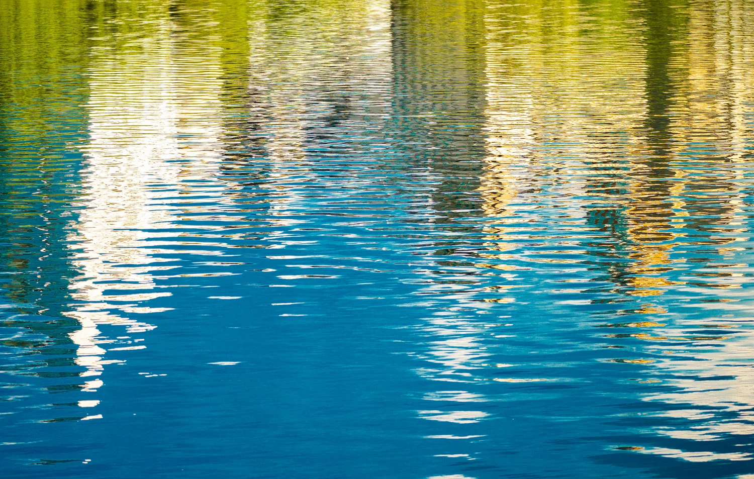 When Water Dreams Six | Bahar Kural | Hilton Contemporary