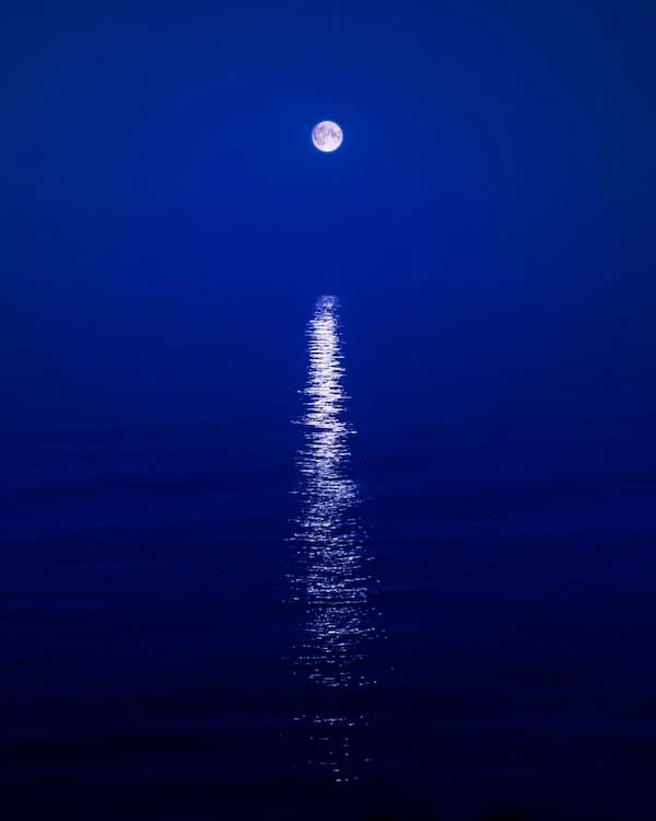 Moonbeam