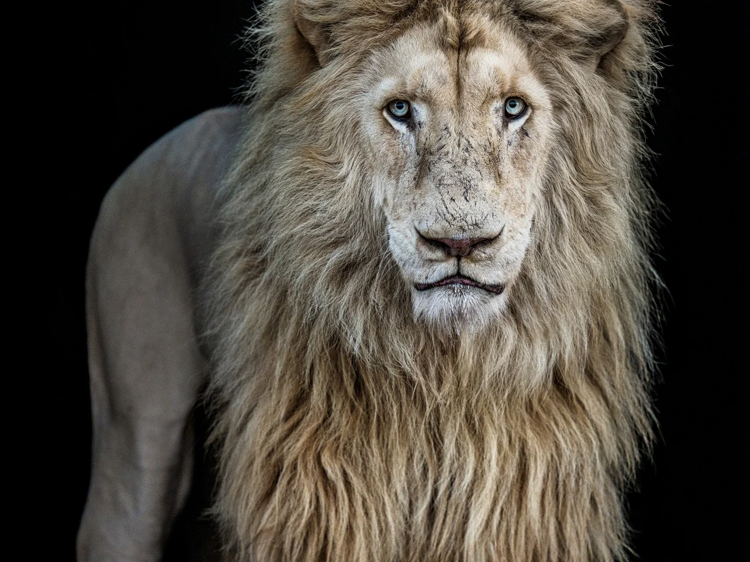 Something's Gotta Give (Colour)