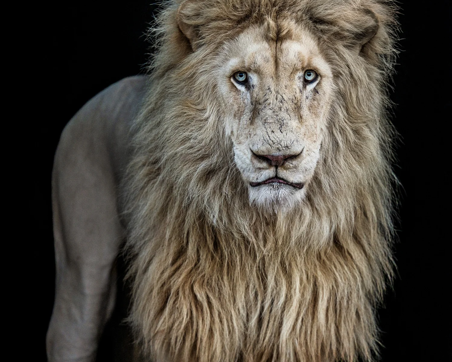 Something's Gotta Give (Colour)