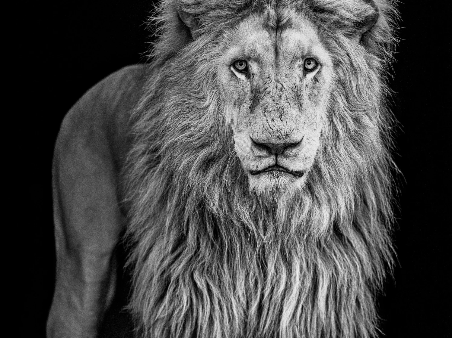 Something's Gotta Give