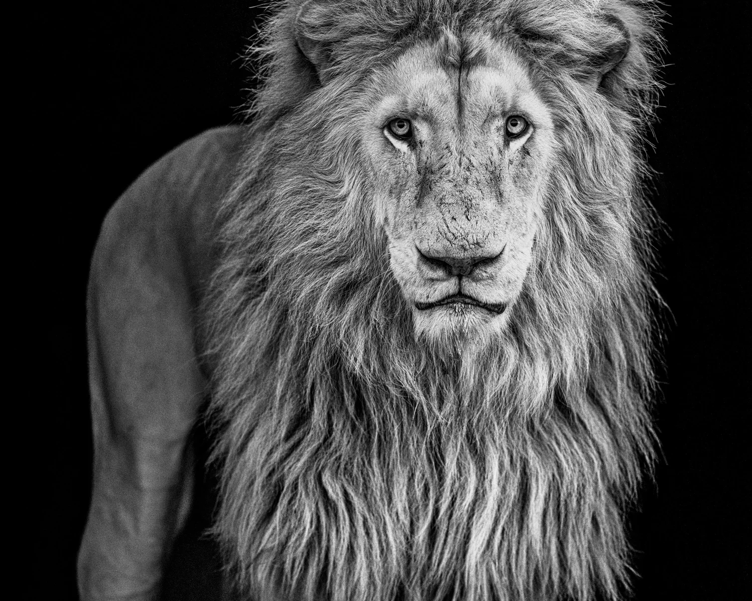 Something's Gotta Give