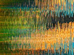 When Water Dreams Three