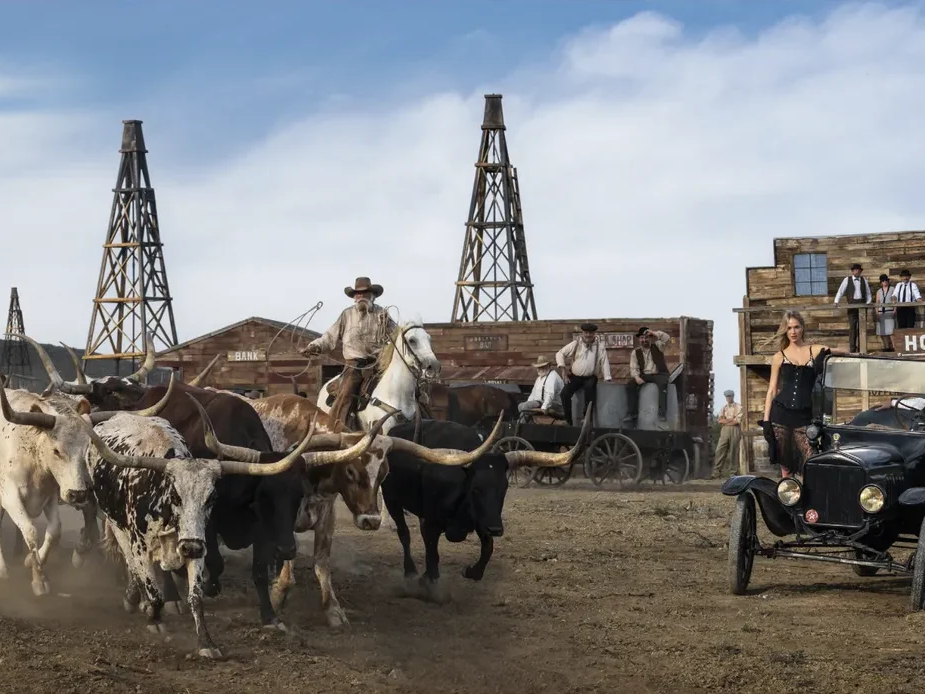Cattle and Oil (Colour) | David Yarrow