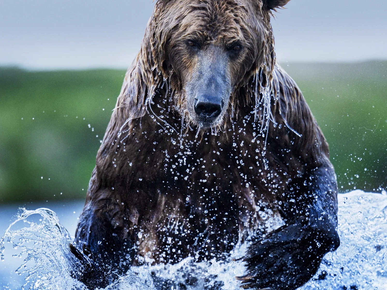 Gone Fishing (colour)